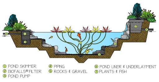 how to build a pond