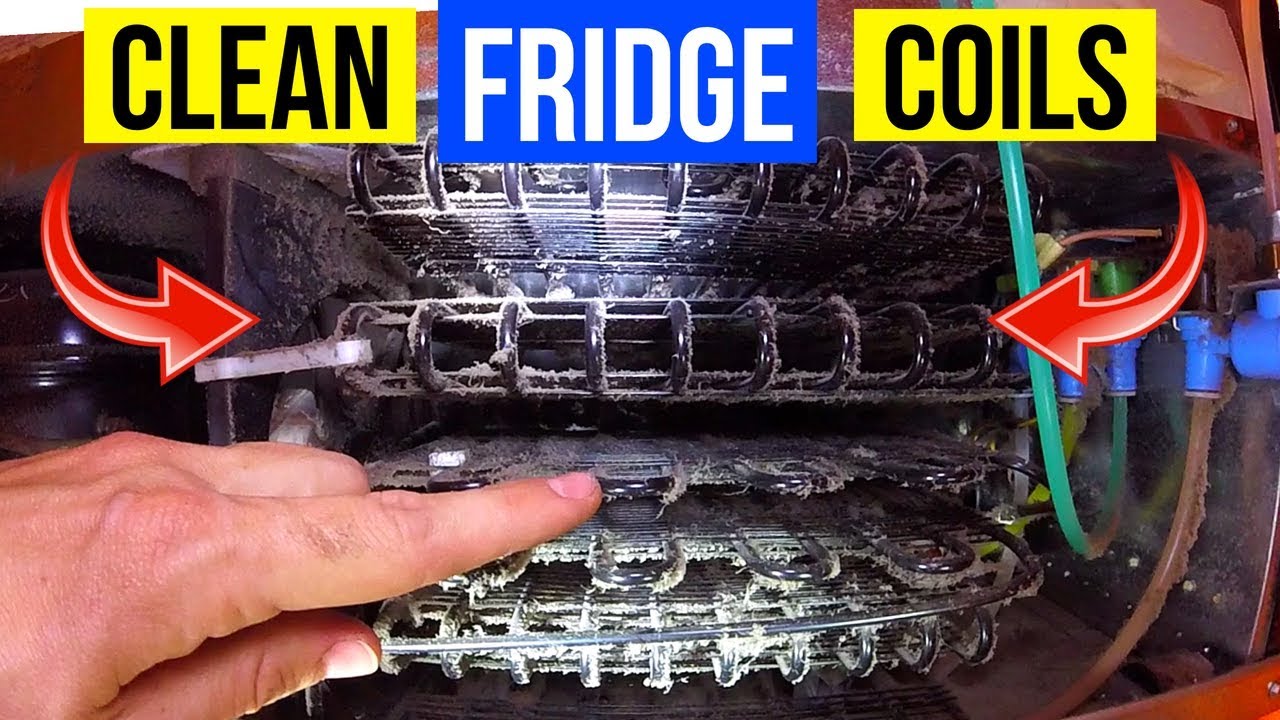 How to Clean Fridge Coils