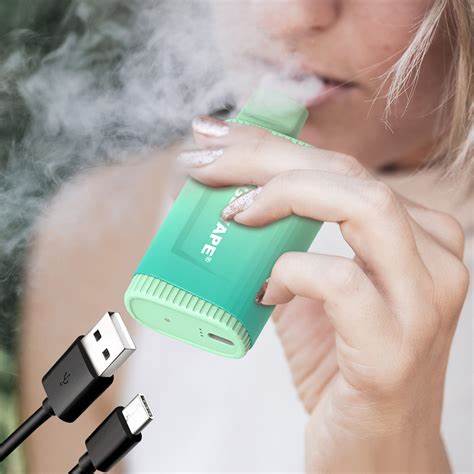 How long to charge disposable vape
