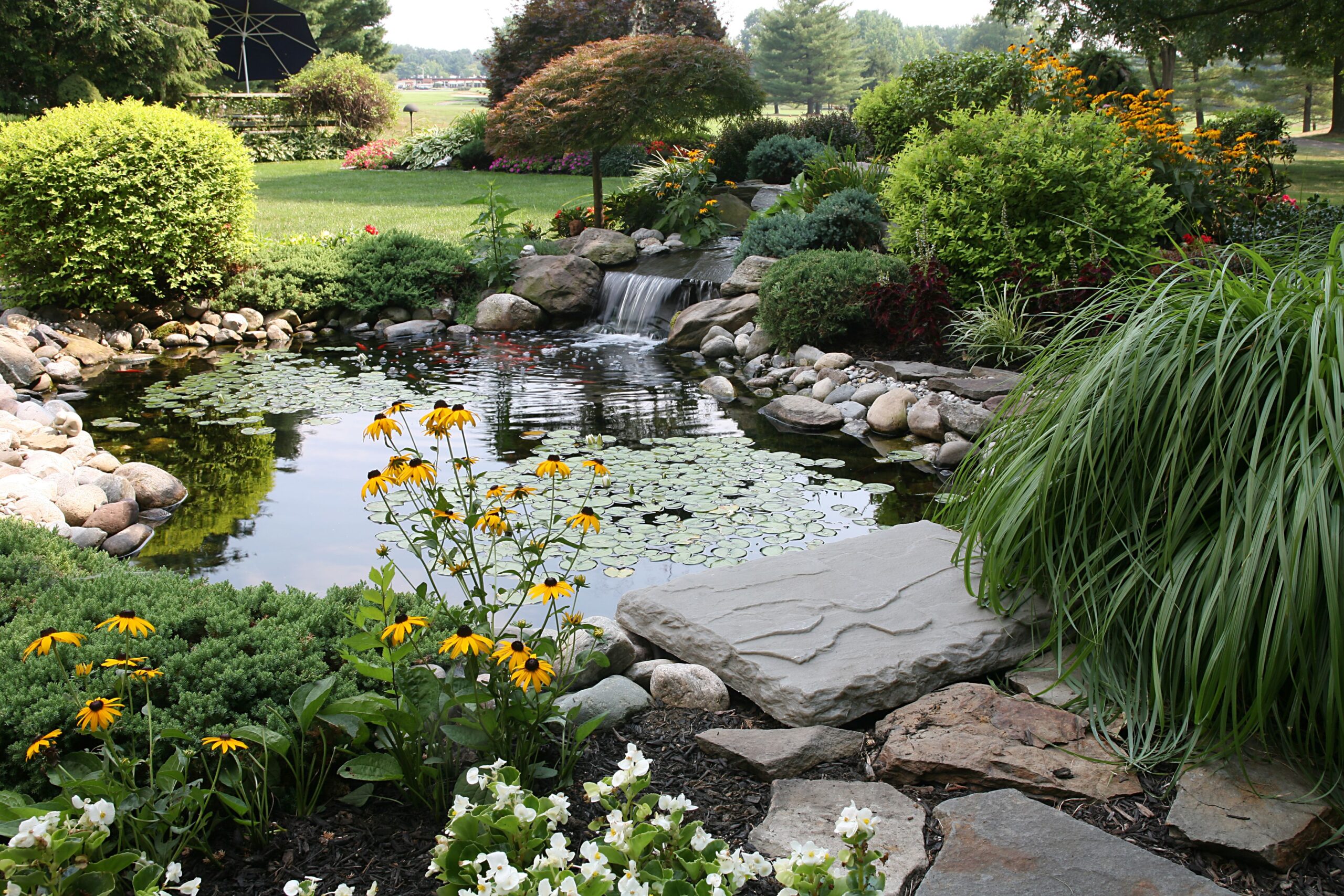 beautiful pond in garden