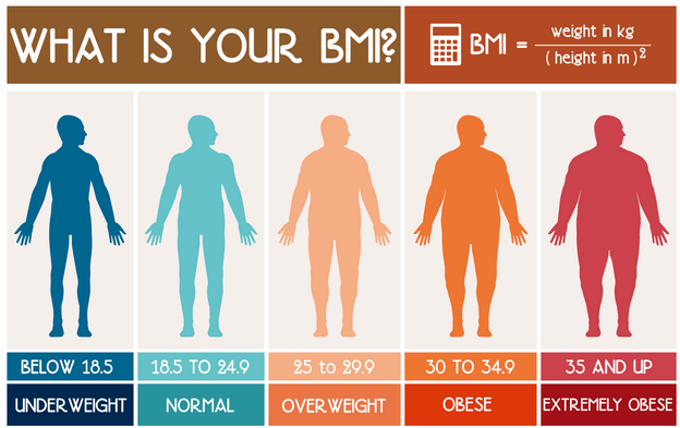 body fat measurements